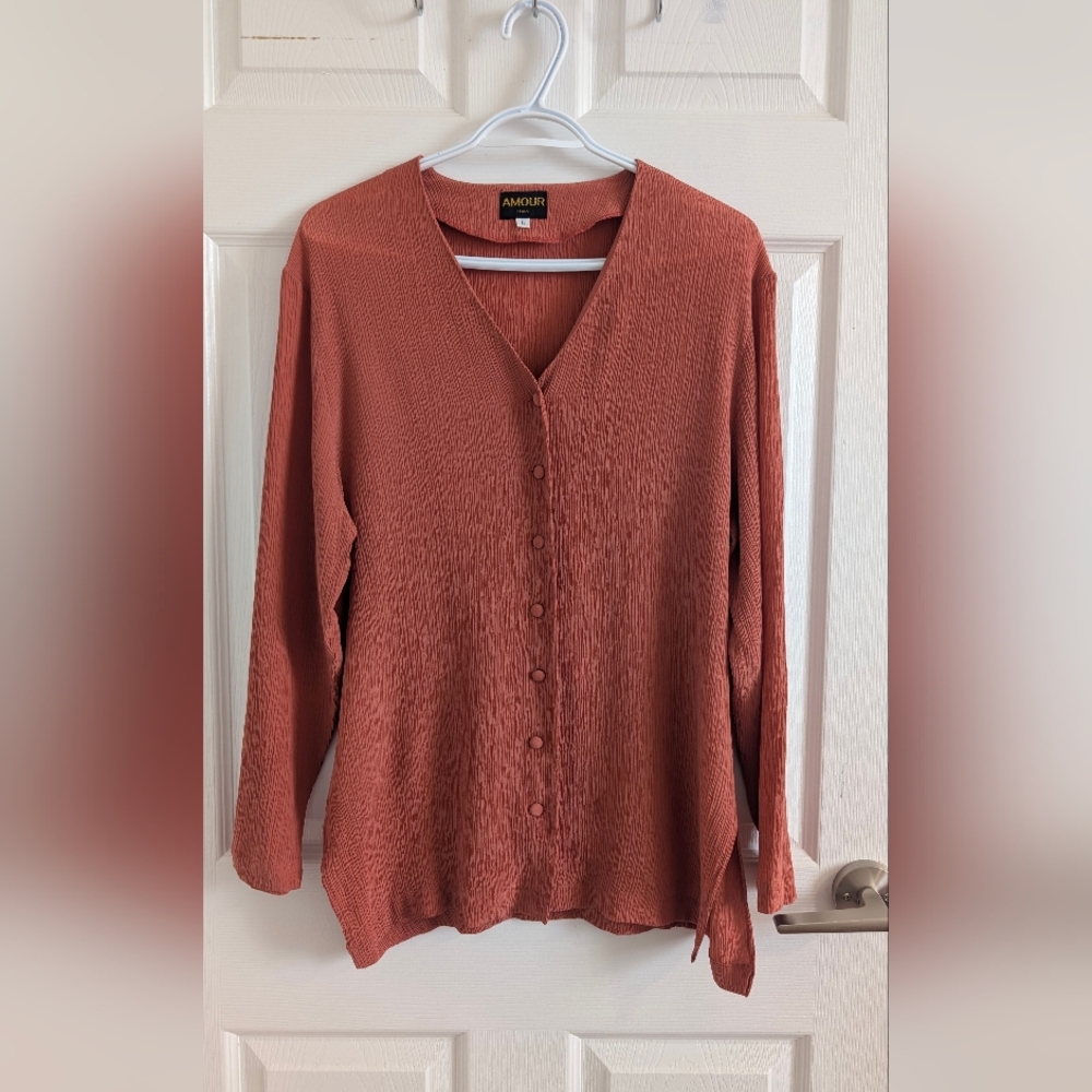 AMOUR ITALY 100% Silk Textured Crinkle Blouse Shirt Terracotta Rust V-Neck SZ L